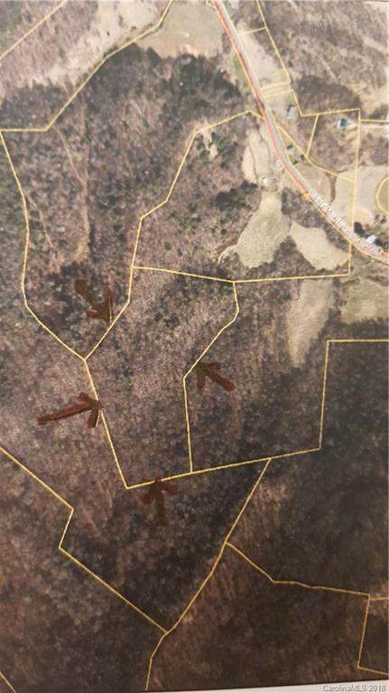 00 Baltimore Branch Road - Photo 1