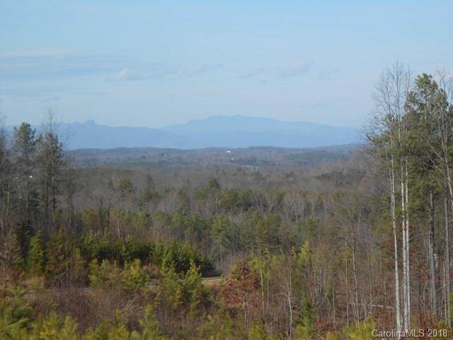 Lot 397 Grandview Loop - Photo 1