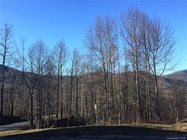 1215 Kanawa Lane - Photo 1