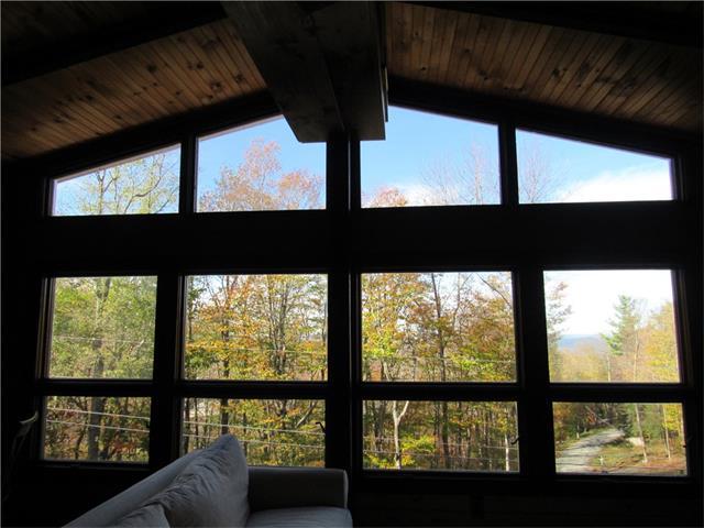 111 Skiview Lane - Photo 1