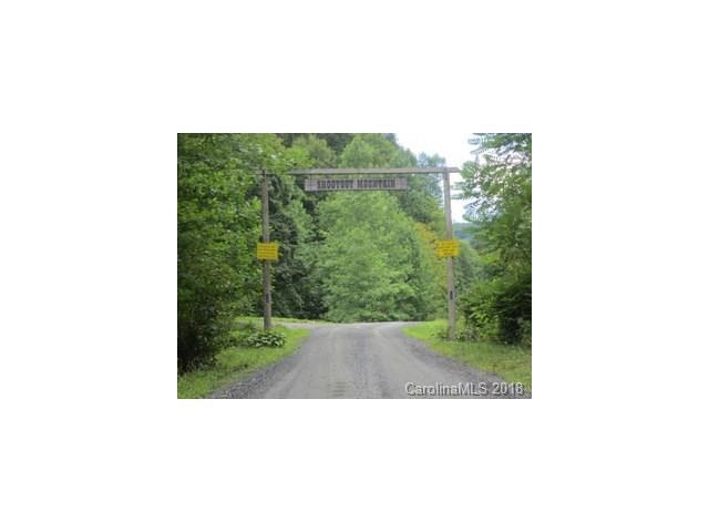 0 Big Ridge Road - Photo 1