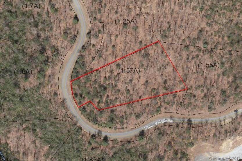 685 Pinnacle Falls Lane - Photo 1