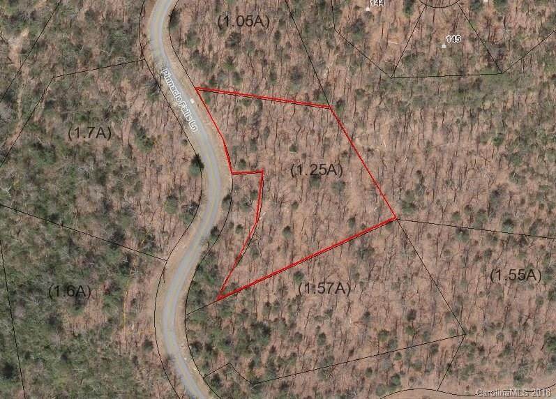 625 Pinnacle Falls Lane - Photo 1