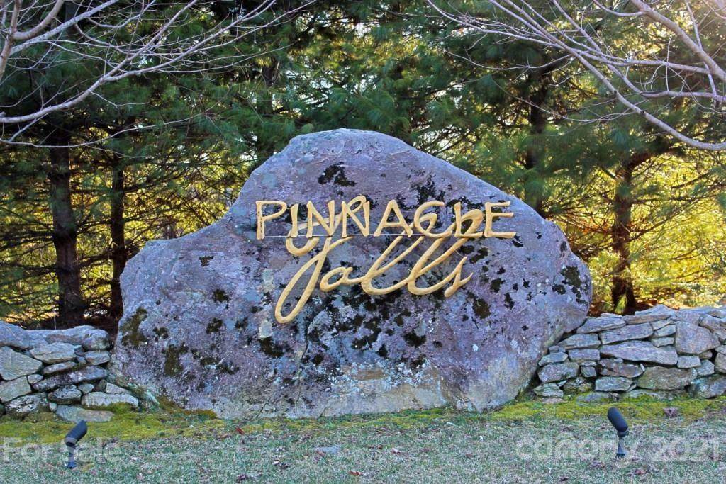625 Pinnacle Falls Lane - Photo 1