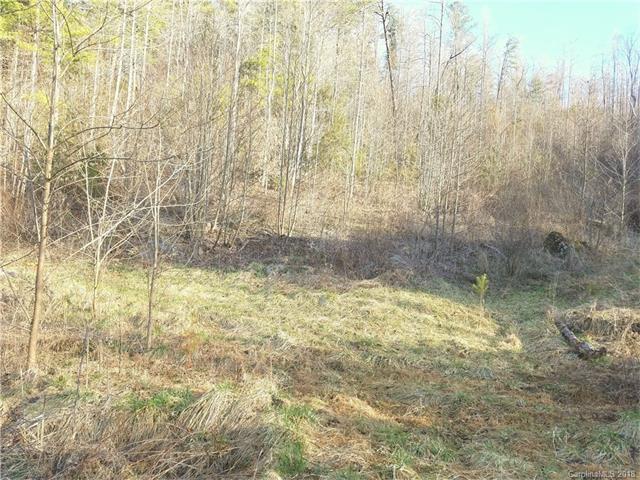 149 Caldwell Branch - Photo 1
