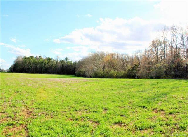 Lot D Culp Ferguson Road - Photo 1