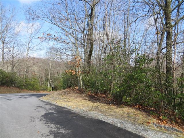 0 Cheestoonaya Court - Photo 1