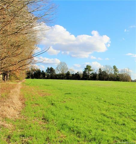 Lot E Culp Ferguson Road - Photo 1
