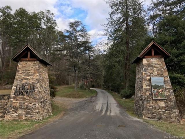 Lot #9 Smoky Cove Road - Photo 1