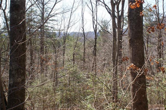 LOT 13 Staton Ridge Road - Photo 1