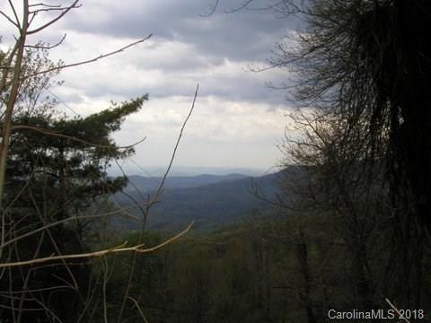 0 Bear Wallow Highway - Photo 1