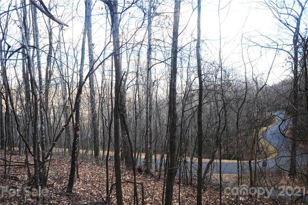 54 Great Aspen Way - Photo 1