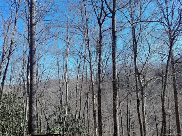 106 Waterfall Hollow Road - Photo 1