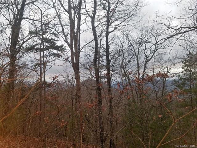 Lot #11 Forest Hills Road - Photo 1