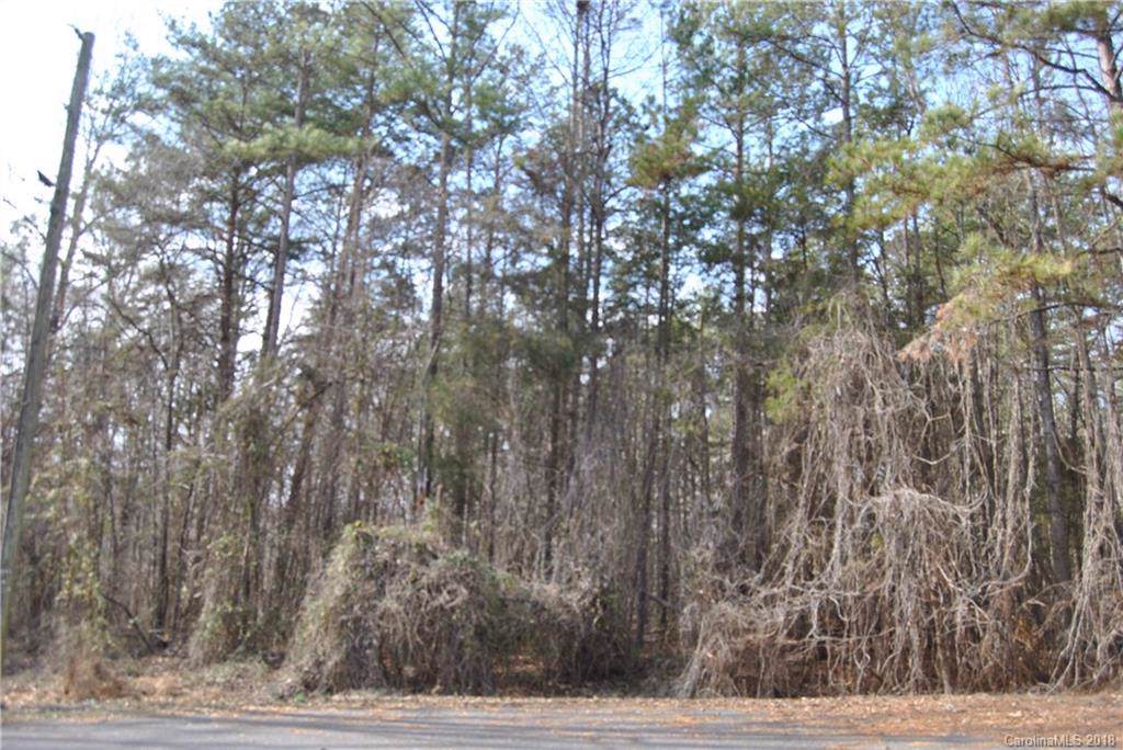 1095 Mount Holly Road - Photo 1