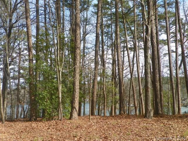 1068 Pinehaven Drive - Photo 1