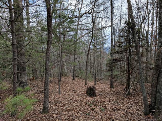TBD #1 Laurel Loop Road - Photo 1