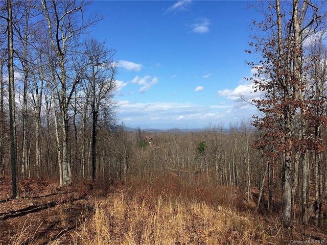 Lot 97 Woodgate Trail - Photo 1