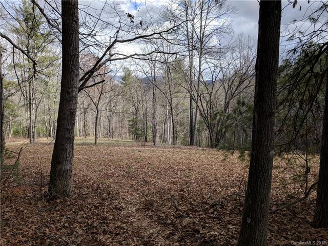 TBD #2 Laurel Loop Road - Photo 1