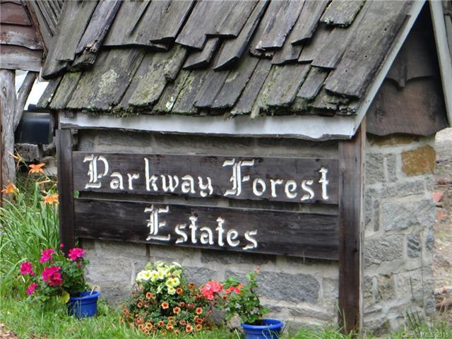 D Parkway Forest Lane - Photo 1