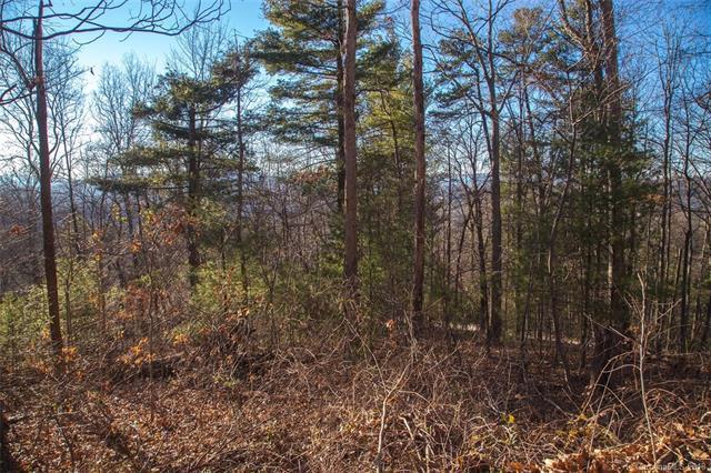 TBD Cherokee Road - Photo 1