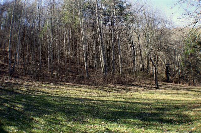 276 Scott's Trail - Photo 1