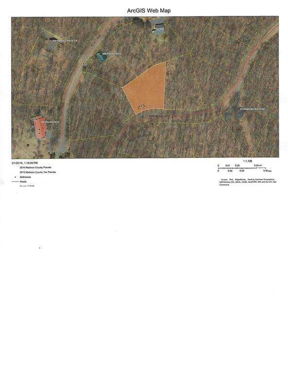 256 Hanging Rock Road - Photo 1