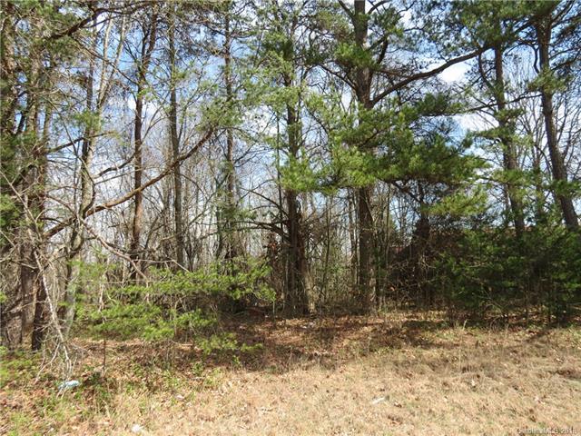 1534 Buffalo Shoals Road - Photo 1