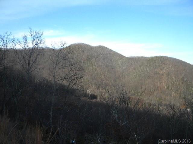 3 Adcock Mountain Road - Photo 1
