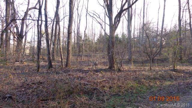 Lot 16 Desoto Trail - Photo 1