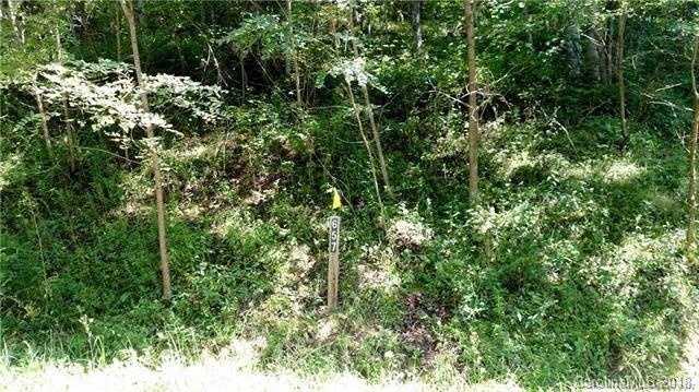 999 Split Pine Cove - Photo 1