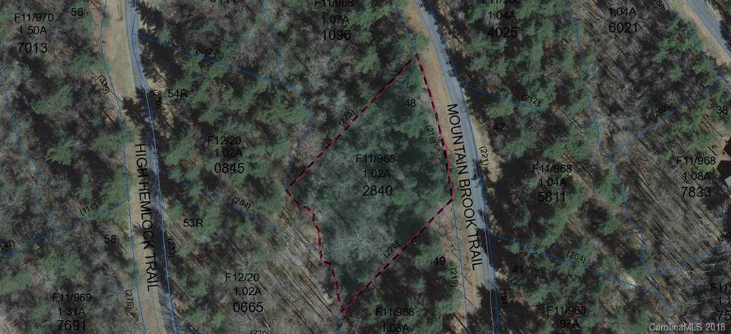 L48 Mountain Brook Trail - Photo 1