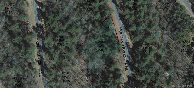 L48 Mountain Brook Trail - Photo 1