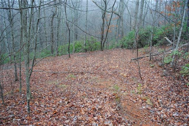 TBD Rhododendron Drive - Photo 1