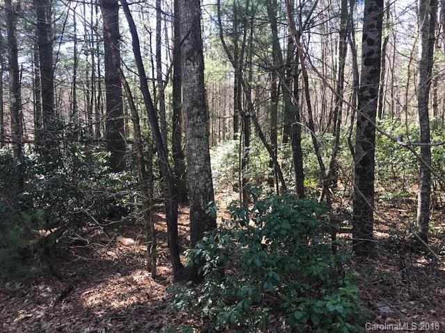0000 Pine Bluff Road - Photo 1
