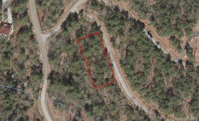 0 Huckleberry Ridge Lane - Photo 1