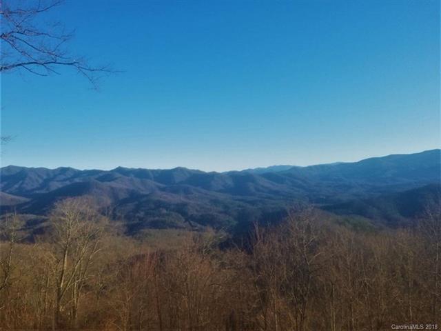 Lot #11 Big Rockys Road - Photo 1