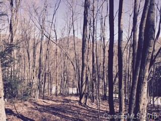 75 Smokemont Drive - Photo 1