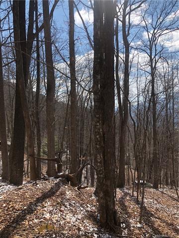 000 Catbrier Lane - Photo 1