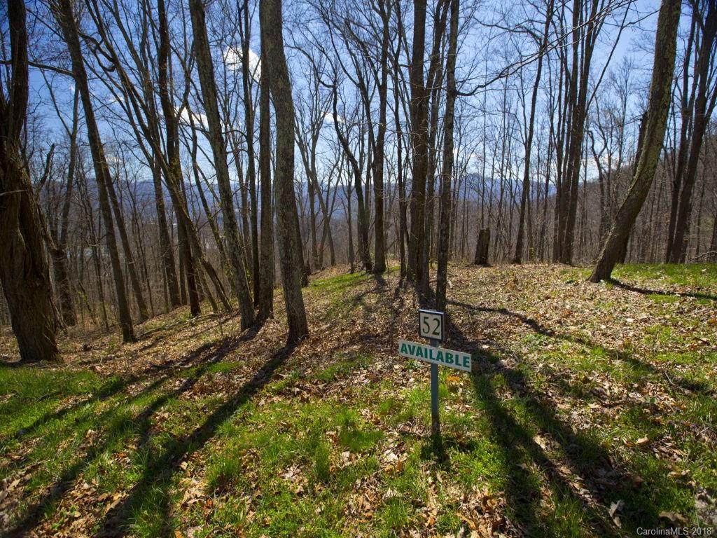 Lot #52 Sleepy Hollow Drive - Photo 1
