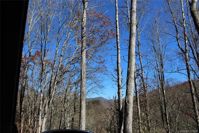321 Hidden Hollow Falls Drive - Photo 1