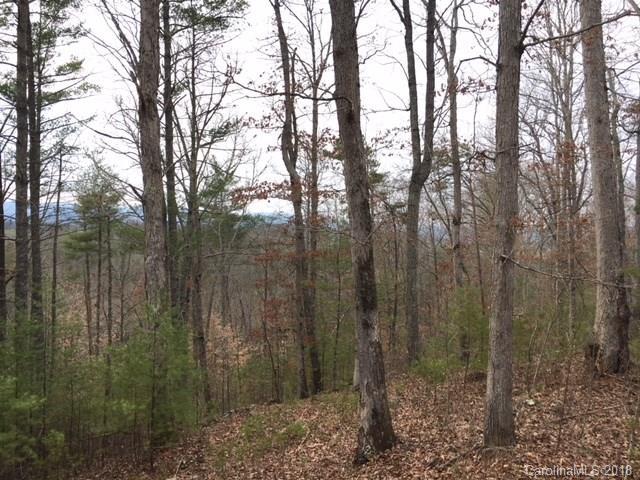 54 Buckle Ridge Road - Photo 1