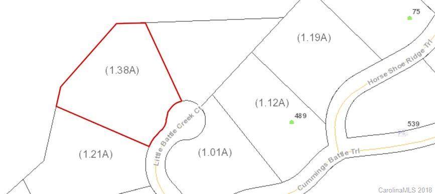 103 Little Battle Creek Court - Photo 1