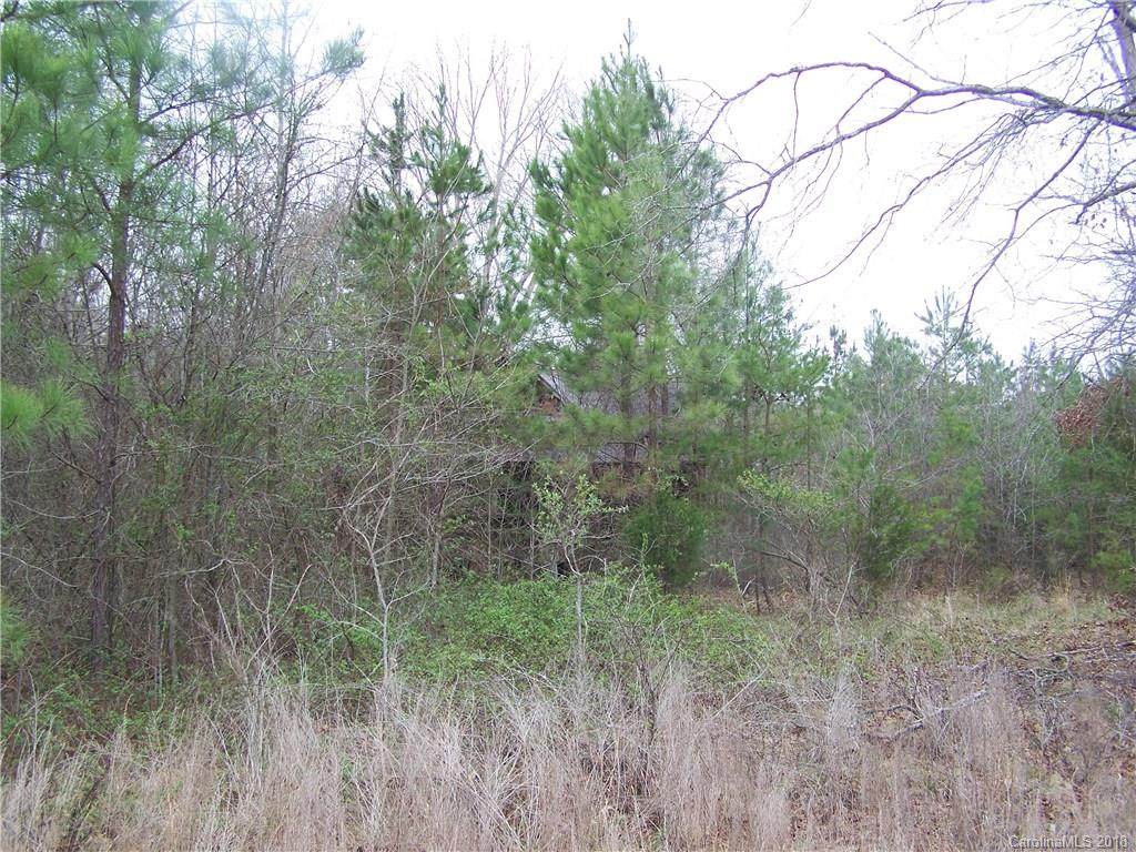 0 Woodleaf Barber Road - Photo 1
