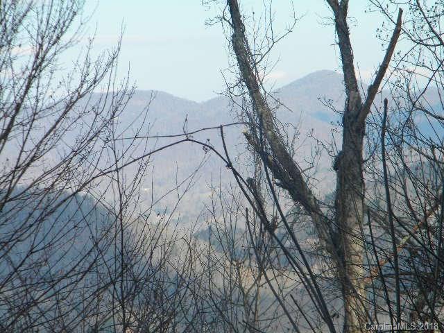 126 Large Poplar Trail - Photo 1