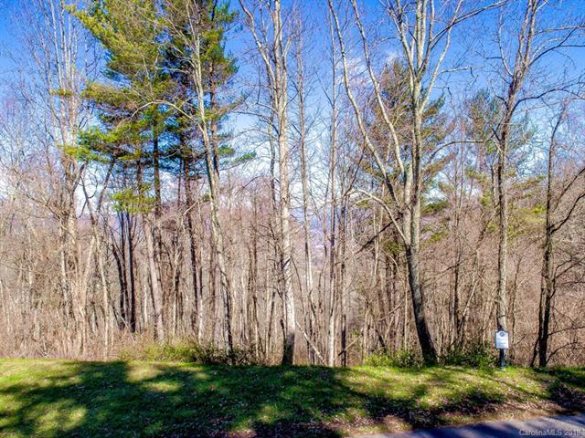 Lot 28 Katies Ridge Drive - Photo 1