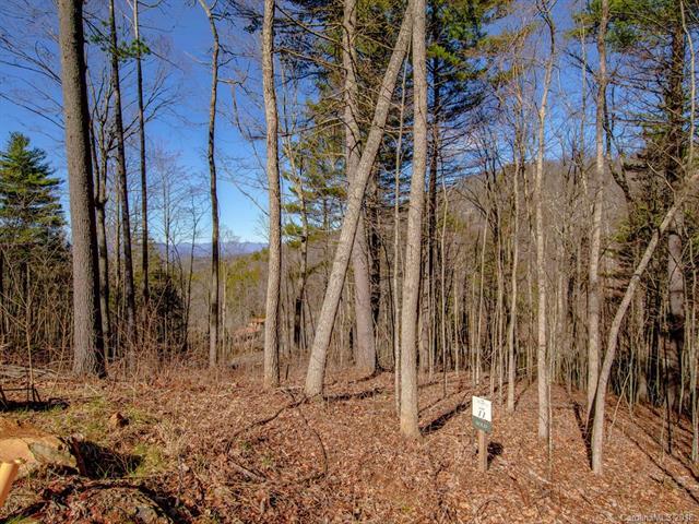 31 Bent Branch Lane - Photo 1