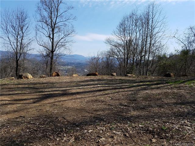 TBD Spivey Mountain Road - Photo 1