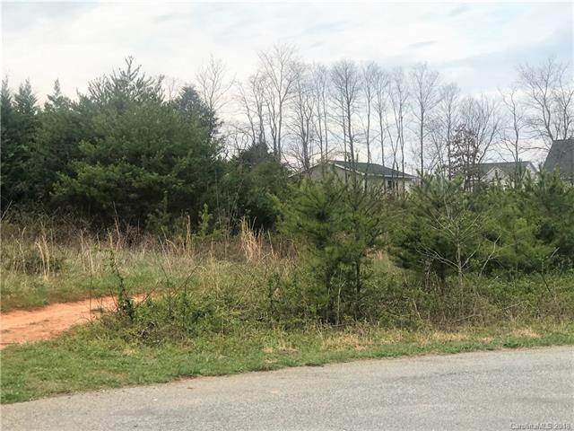 Lot 48 Flag Lane - Photo 1
