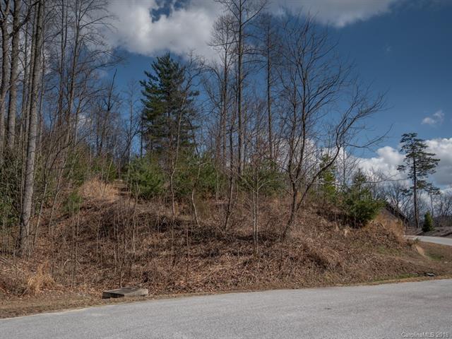 120 Mountain Elder Lane - Photo 1